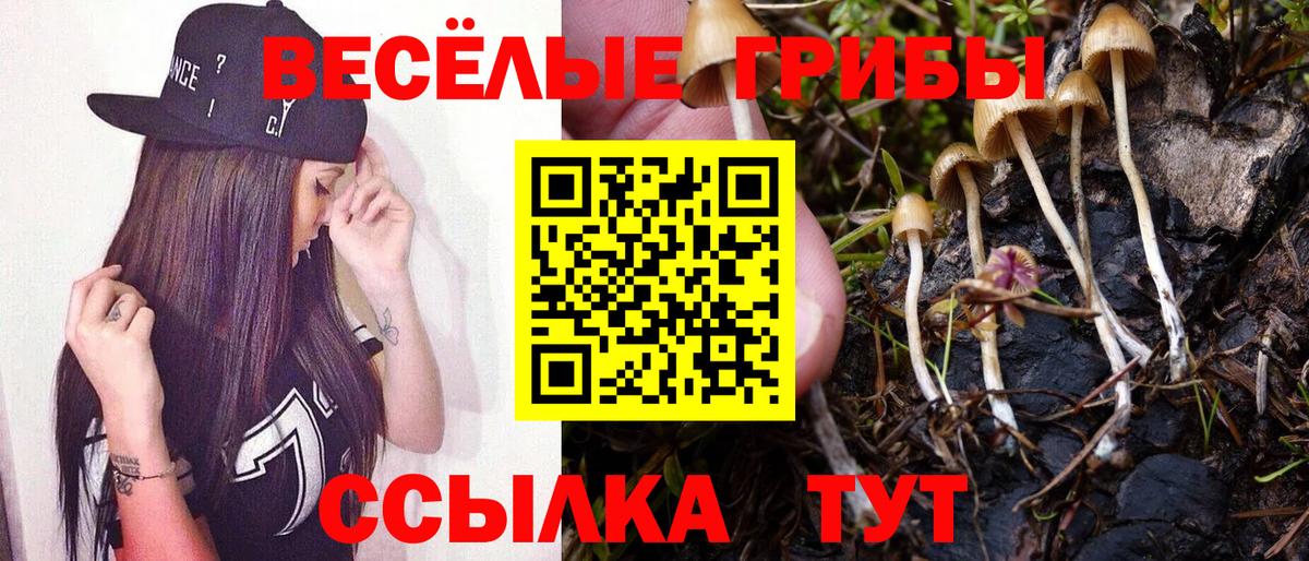 Псилоцибиновые грибы ЛСД Грозный