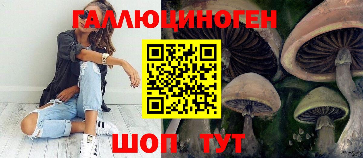 Псилоцибиновые грибы Magic Shrooms  Вход с VPN  Грозный 