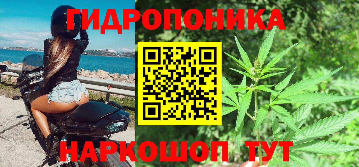 Конопля тримм  Бошки марихуана Ganja  Грозный  Вход с VPN  Шишки марихуана AK-47 